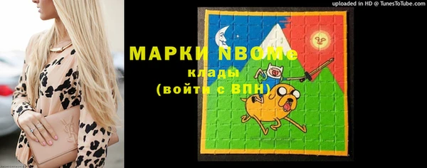 мдпв Абаза